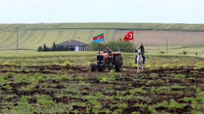 Türkiyenin Marmara bölgesi'nin Kırklareli köyünde