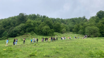 Göygöl, Abşeron ve Altıağaç milli