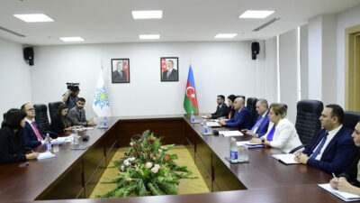 Avqustun 9-da Yeni Azərbaycan Partiyasının