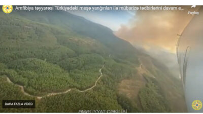 Türkiye'deki şiddetli orman yangınlarıyla mücadeleye