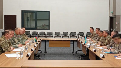 The visit of the delegation