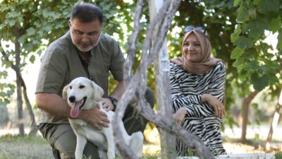 AK Parti İzmir İl Başkanı Bilal Saygılı, iki sokak köpeğini sahiplendi