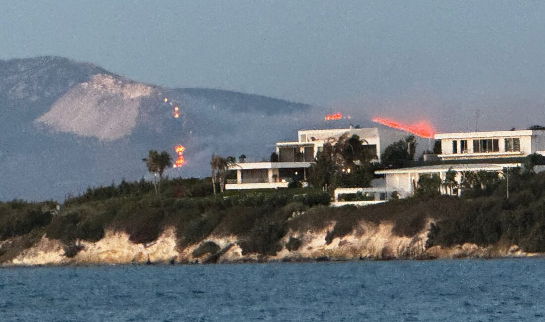 İzmir'deki yangını çıkaranlar tespit: