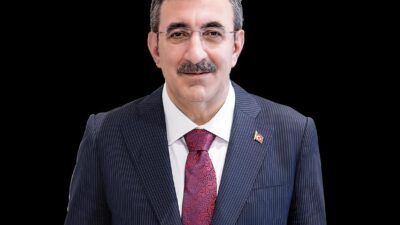 Cumhurbaşkanı Yardımcısı Cevdet Yılmaz, Türkiye