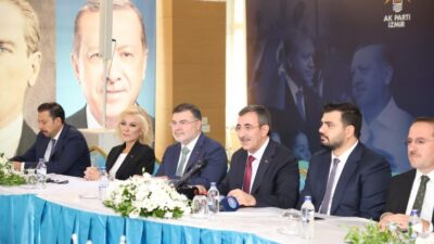 Cumhurbaşkanı Yardımcısı Cevdet Yılmaz, AK