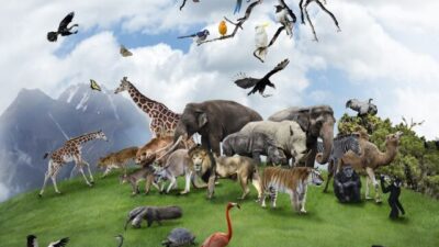 Her gün gezegendeki 70 flora