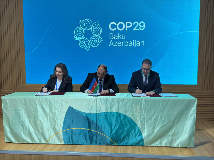 COP29 çərçivəsində Energetika Nazirliyi