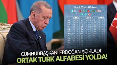Cumhurbaşkanı Recep Tayyip Erdoğan, Türk