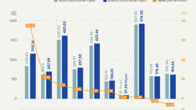 Dünyanın en değerli 10 şirketinden kasım ayında en çok kazandıran Tesla oldu