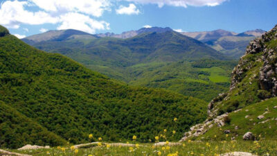 Şuşa-Ağdərə-Kəlbəcər rayonlarının ərazisini əhatə edən yeni milli park yaradılacaq