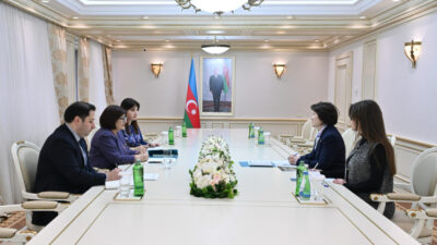 Milli Məclisin sədri Türk Mədəniyyəti və İrsi Fondunun prezidenti ilə görüşüb