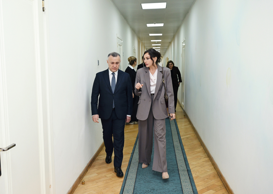 Birinci vitse-prezident Mehriban Əliyeva və Heydər Əliyev Fondunun vitse-prezidenti Leyla Əliyeva Bakıdakı 1 saylı körpələr evində və 1 saylı uşaq evi sosial xidmət müəssisəsində olublar